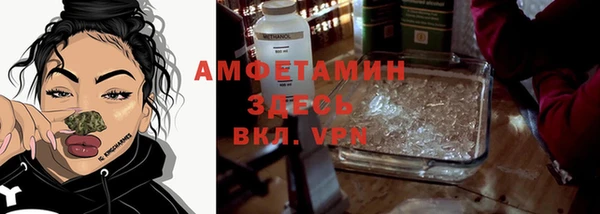 сатива Баксан