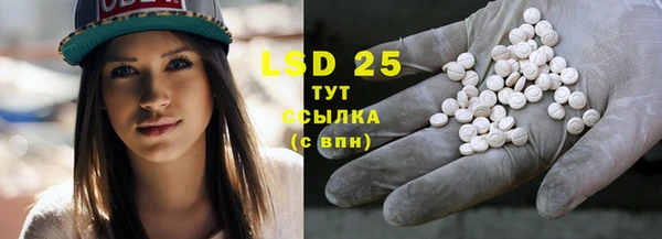 сатива Баксан