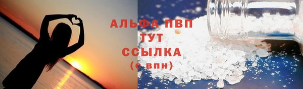 сатива Баксан