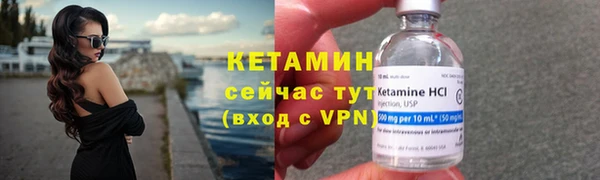 сатива Баксан