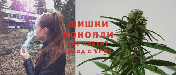 сатива Баксан
