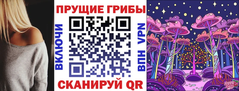 Галлюциногенные грибы прущие грибы  Боготол 